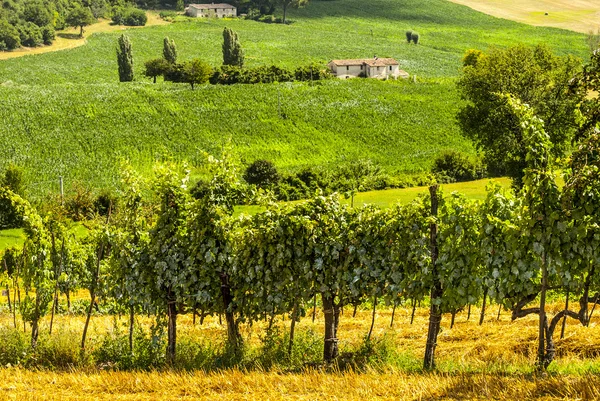 Rieti terni arasındaki bağlar — Stok fotoğraf