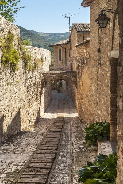 Spello (Umbria) — Zdjęcie stockowe