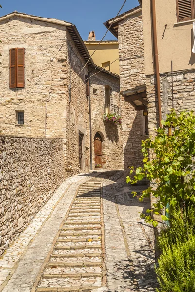 Spello (Umbria) — Zdjęcie stockowe