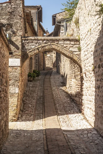 Spello (Umbria) — Stock fotografie