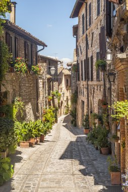 Spello (Umbria)
