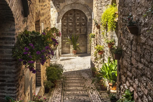 Spello (Umbria) ) — Foto Stock