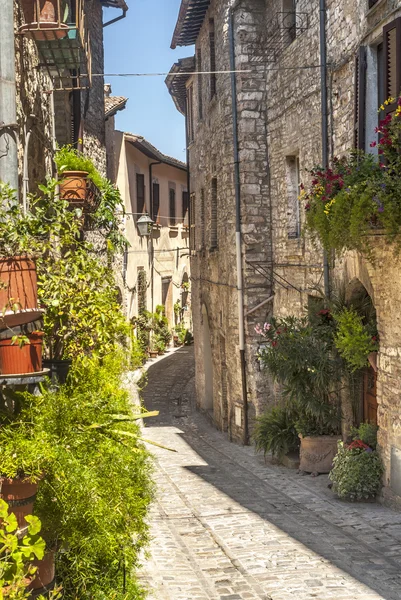 Spello (Umbria) — Zdjęcie stockowe