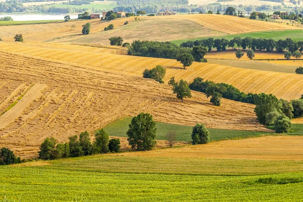 Paysage en Toscane — Photo