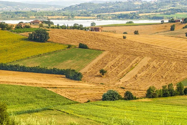 Landscape in Tuscany — Stock Photo, Image