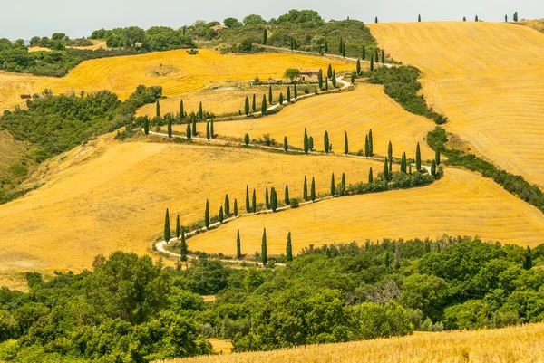 Paisagem em Val d 'Orcia (Toscana ) — Fotografia de Stock