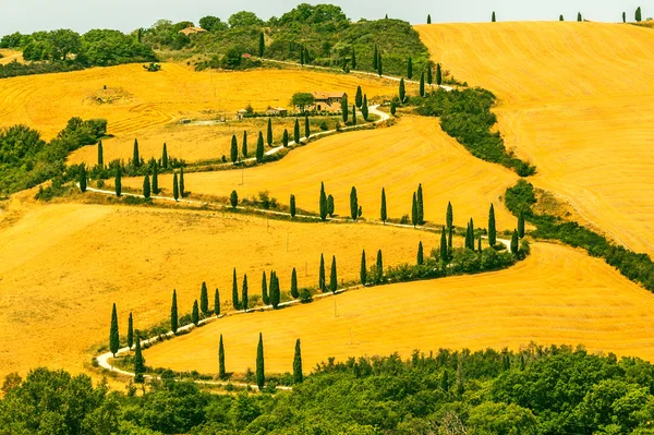 Krajobraz w Val d'Orcia (Toskania) — Zdjęcie stockowe