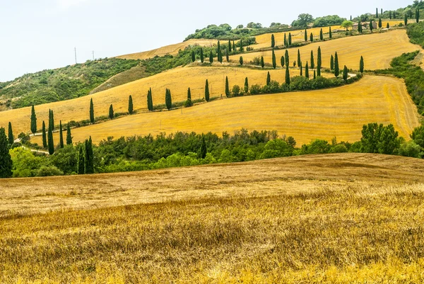 Краєвид в Валь d'Orcia (Тоскана) — стокове фото