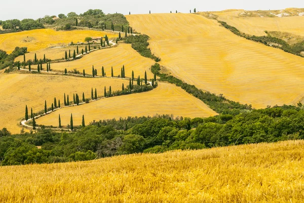 Landscape in Val d'Orcia (Tuscany) — Stock Photo, Image