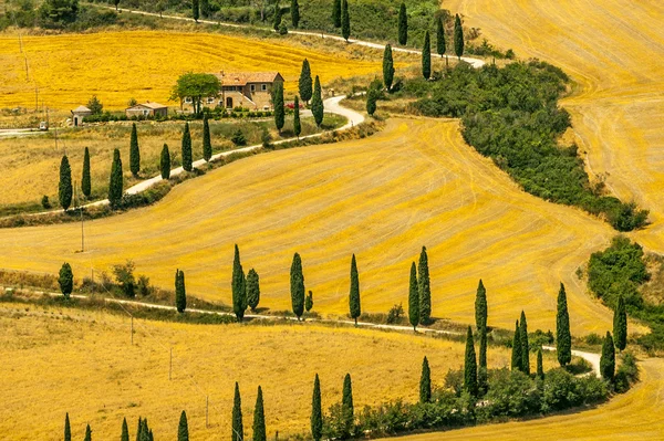 Krajobraz w Val d'Orcia (Toskania) — Zdjęcie stockowe