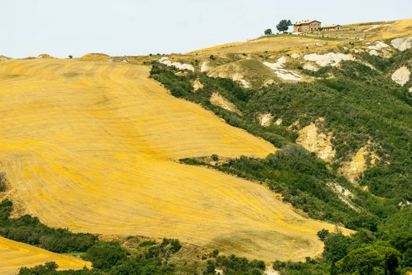 Paesaggio in Val d'Orcia (Toscana) ) — Foto Stock