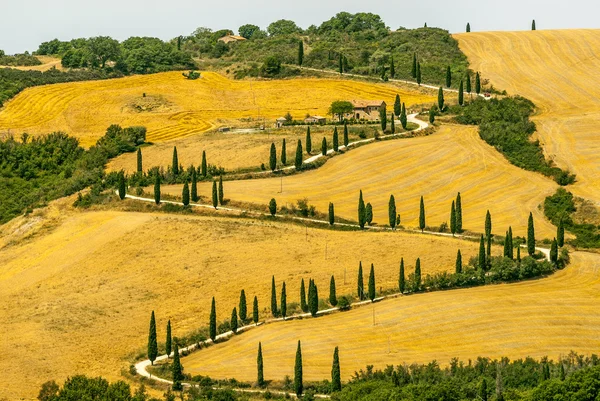 Краєвид в Валь d'Orcia (Тоскана) — стокове фото