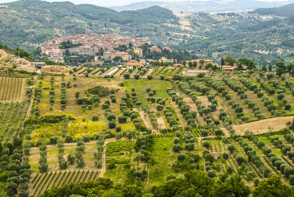 Panoramisch uitzicht van seggiano, in Toscane — Stockfoto