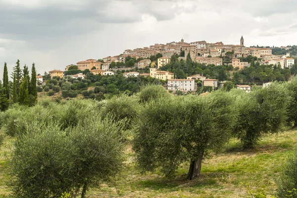 Panoramisch uitzicht van seggiano, in Toscane — Stockfoto