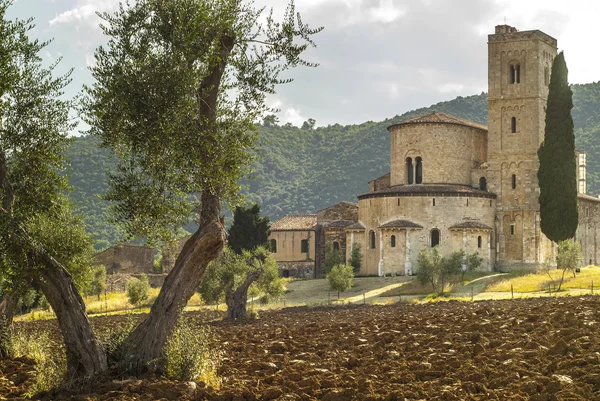 SantʼAntimo (Toscana) — Stockfoto