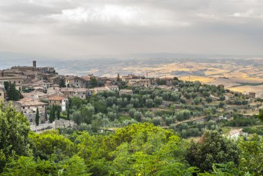 Montalcino (Toskonya)