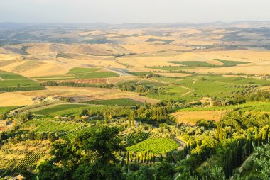 Montalcino (Toskonya)