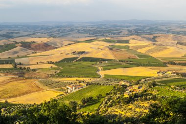 Montalcino (Toskonya)