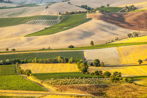 Montalcino (Toscana) — Stockfoto