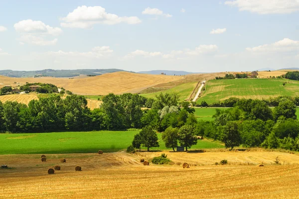 Landschaft in der Toskana im Sommer — Stockfoto