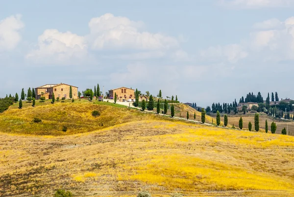 Beton senesi, charakteristische Landschaft in val d 'orcia — Stockfoto