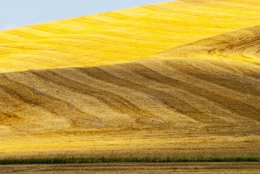 Girit senesi, val d'orcia karakteristik manzara