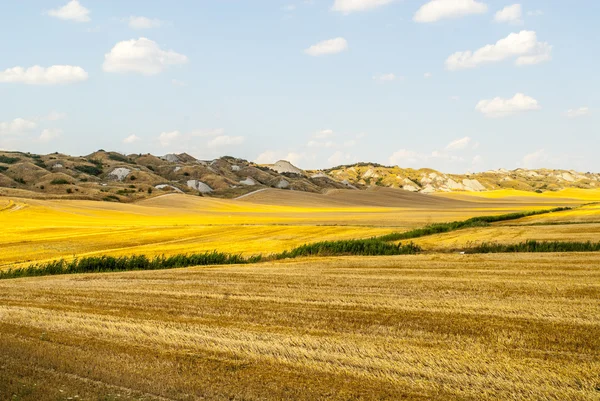Crete senesi, characteristic landscape in Val d'Orcia — Stock Photo, Image