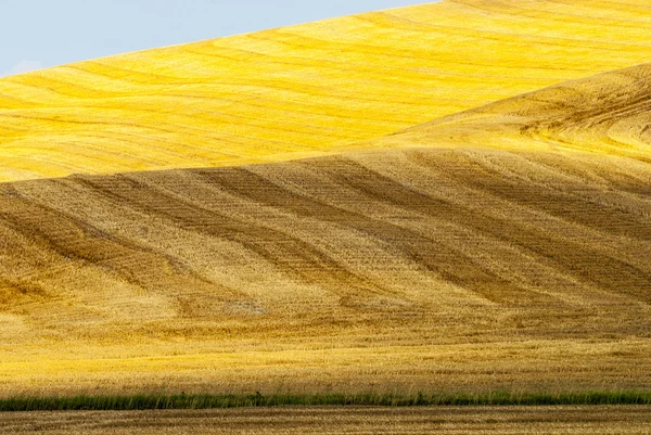 Crete senesi, charakteristické krajiny v údolí val d'orcia — Stock fotografie