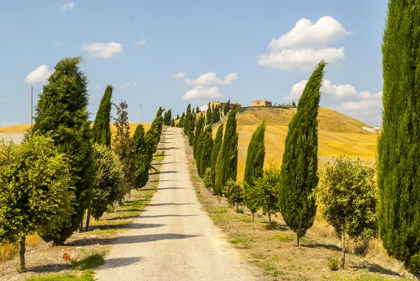 Crete senesi, paesaggio caratteristico della Val d'Orcia — Foto Stock