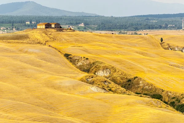 Girit senesi, val d'orcia karakteristik manzara — Stok fotoğraf