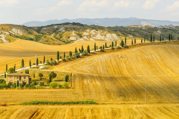 Крит senesi, характерних краєвид в Валь d'orcia — стокове фото