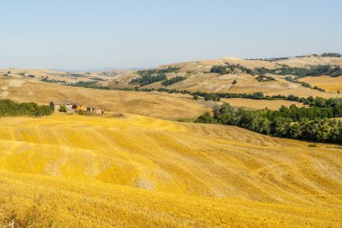 Girit senesi, val d'orcia karakteristik manzara