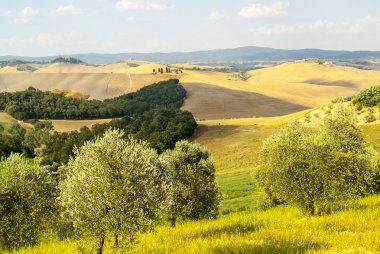 Girit senesi, val d'orcia karakteristik manzara