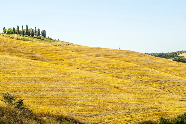 Girit senesi, val d'orcia karakteristik manzara — Stok fotoğraf