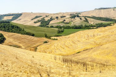 Girit senesi, val d'orcia karakteristik manzara