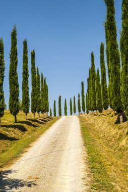 Girit senesi, val d'orcia karakteristik manzara
