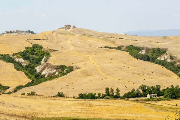 Crete senesi, paesaggio caratteristico della Val d'Orcia — Foto Stock