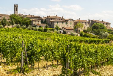 Villa Sesta (Chianti) - köy ve üzüm bağları