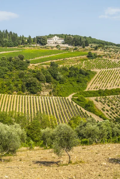 Radda in Chianti - Ancient palace and vineyards — Stock Photo, Image