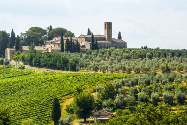 Landscape near San Gimignano (Tuscany) clipart