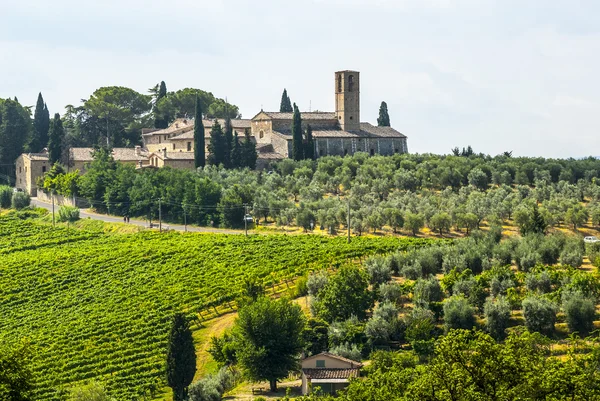Paysage près de San Gimignano (Toscane ) — Photo