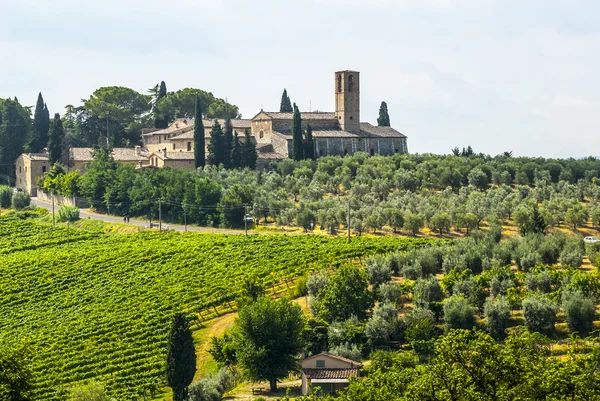 San Gimignano (Toskonya manzara) — Stok fotoğraf