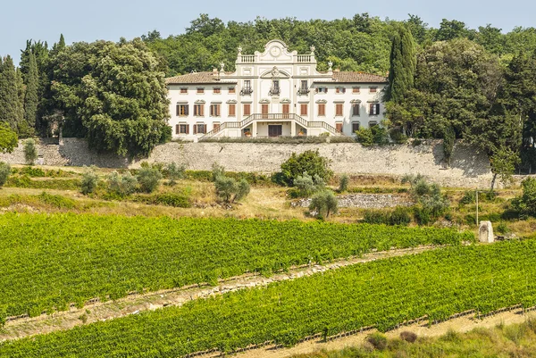Radda in Chianti - Древний дворец и виноградники — стоковое фото