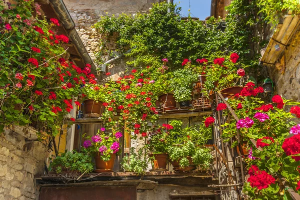 Villa a Sesta (Chianti) - Casa con piante e fiori — Foto Stock