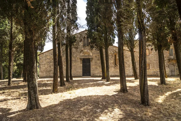 Pieve di Cellole (Toscana ) — Fotografia de Stock