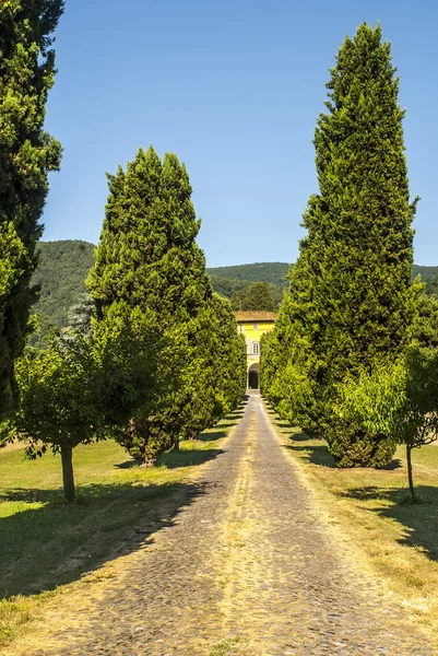 Lucca (Toscana) - Moradia antiga com ciprestes — Fotografia de Stock