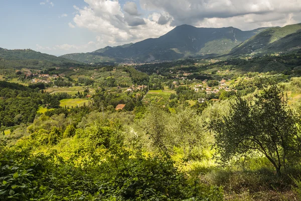 Paisaje cerca de Camaiore (Toscana ) — Foto de Stock