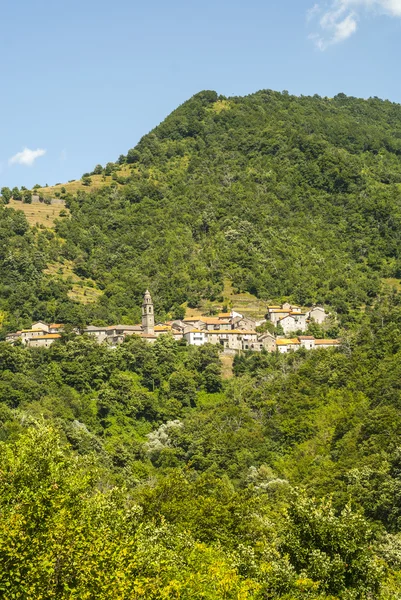 Passo del Cirone (Toscane - Emilie) - Forêt et villages — Photo