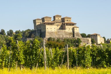 Kale torrechiara ve bağ