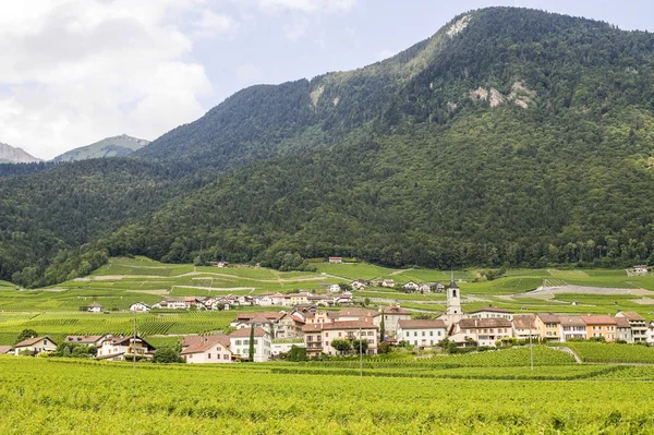 Vesnice v Valais (Švýcarsko) — Stock fotografie